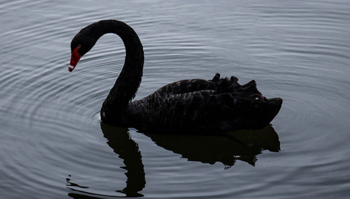 价之链,浔兴股份,合同诈骗