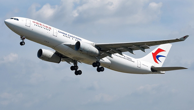 上海飞布里斯班航班遇鸟击返航，安全降落