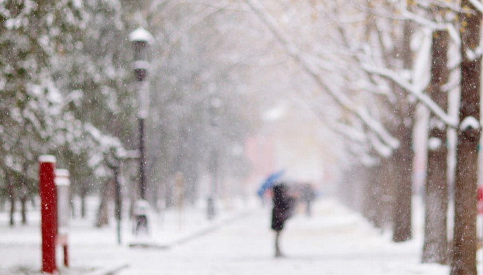 地方新闻精选|黑龙江漠河迎来今秋首雪 湖北“云剑行动”抓获600余名“套路贷”涉黑涉恶犯罪嫌疑人