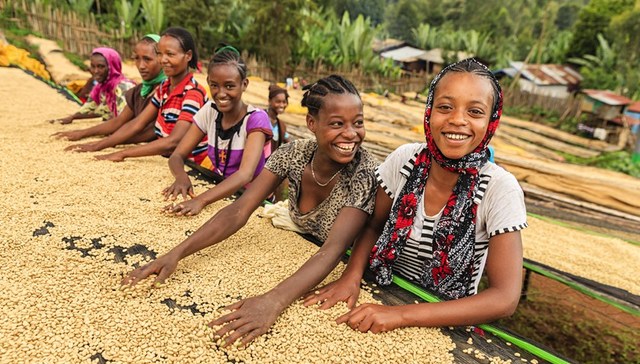 盖茨,基金会,不平等