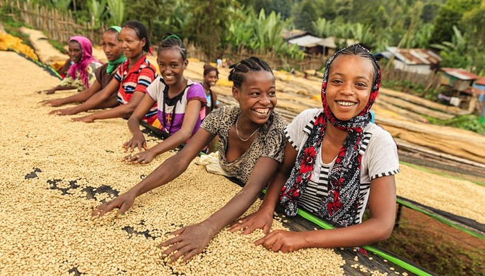 盖茨,基金会,不平等