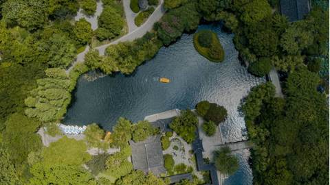 视频｜航拍上海｜奉贤篇：东方美谷，美丽绽放