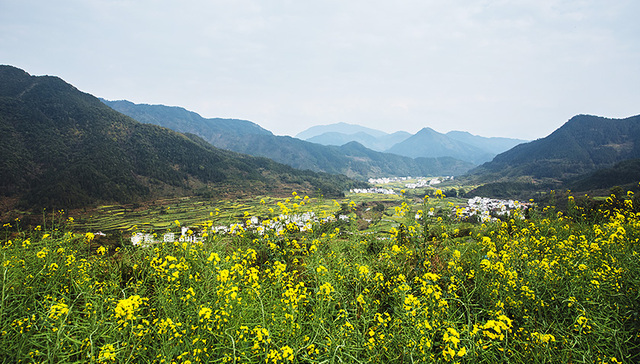 麻涌镇,湖环境,湖国家,污染物吸收,杭州西溪湿地,传统物流,偷排,一河两岸,两高一低,华阳