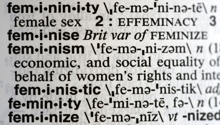 牛津词典,性别歧视,语言