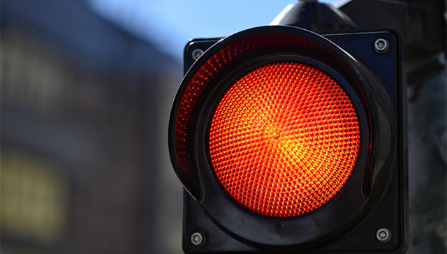 文物,红树林,假酒