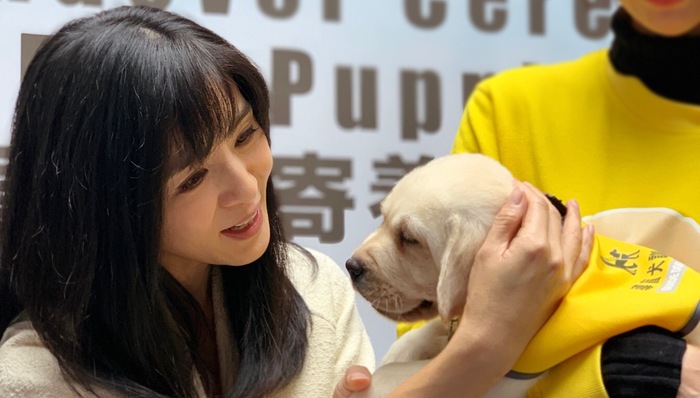 【专访】杨采妮：我怎么会跟玉女这个称号有关系？