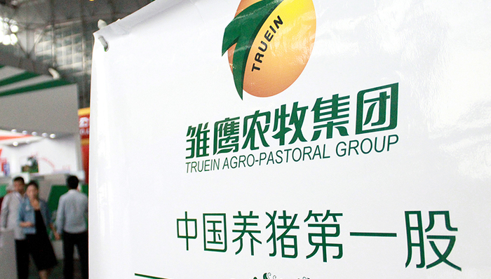 雏鹰退,猪肉股,龙虎榜