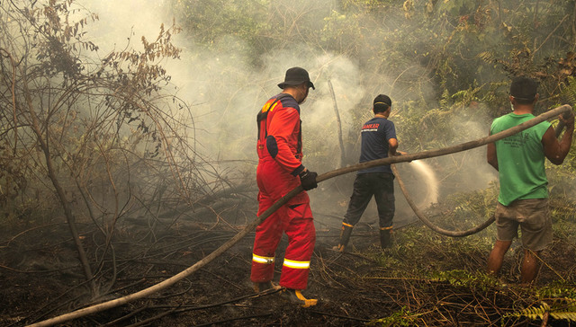 印度尼西亚,森林大火