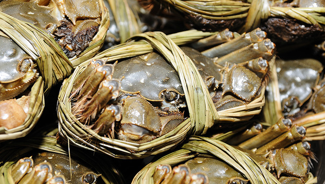 阳澄湖,大闸蟹,生鲜电商