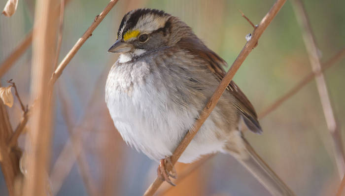 天下故事,惊奇的发现