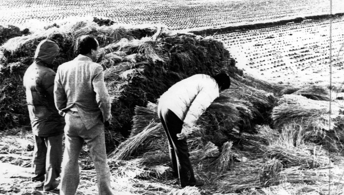 韩媒,连环杀人案,韩国警方,罪行,杀人回忆,图源,1986年,破案,命案,模范囚犯