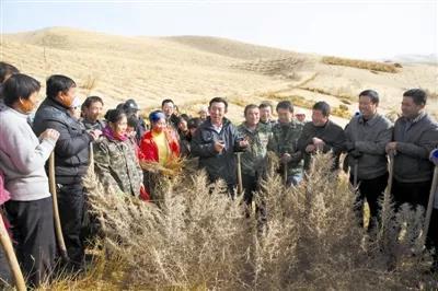 王有德,绿色屏障,防沙治沙,白芨,人民生活,马家滩,五位一体,沙魔,国家荣誉,模范人物