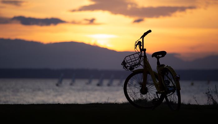 深网,摩拜,ofo,爱唯,单车,大客户,富士达,营收,大项目,失联