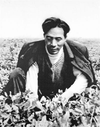 县委书记,奋斗者,肝部,好榜样,,人民日报,,县委书记的榜样——焦裕禄,内涝,黄河故道,2019年,