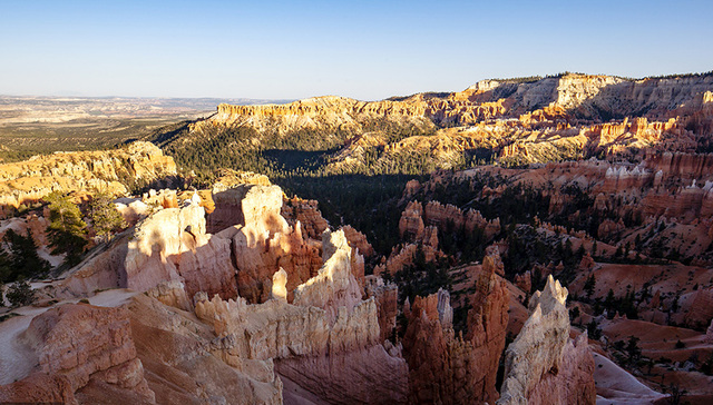 中国旅游团在美车祸初步调查结果：大巴向右偏移司机打方向过猛致翻车