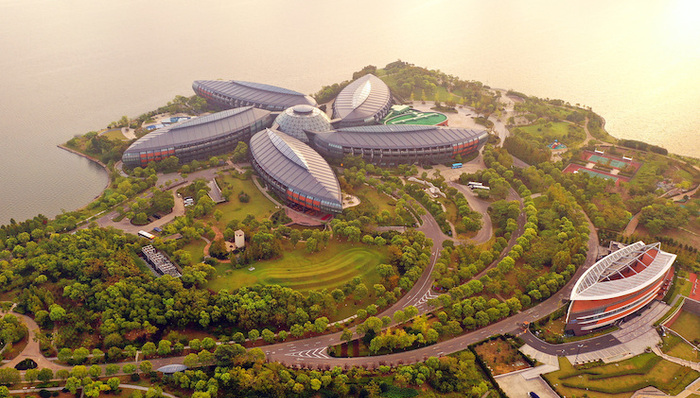 上海市属国企，临港自贸区新片区