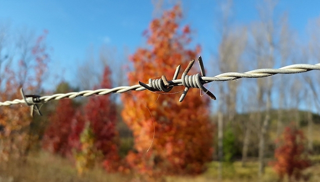 上海市南汇监狱,监区,老年犯,服刑人员,心理,咨询师