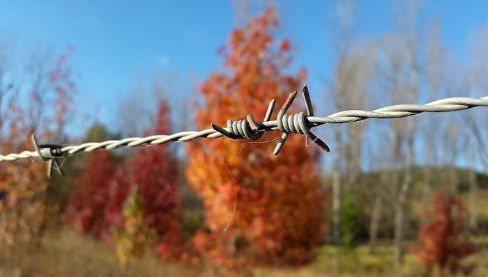 上海市南汇监狱,监区,老年犯,服刑人员,心理,咨询师