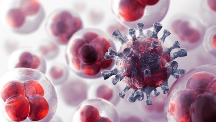 实施方案,循证,癌症发病率,防治体系,防治技术,防治工作,防治知识,防治现状,医保药品目录,早诊早治