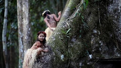 【深度】你是否已经忘记了亚马孙雨林？