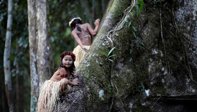 【深度】你是否已经忘记了亚马孙雨林？