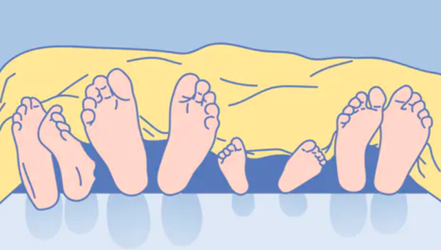 床榻怪史：从卧室窥见社会变迁