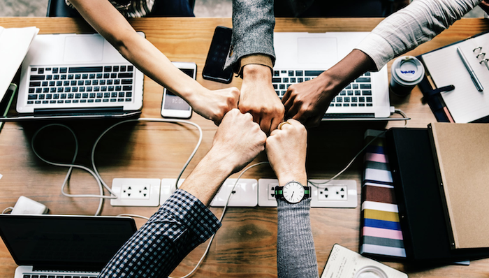 临港新片区，德国创业团队