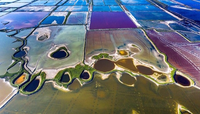 长单客户再添瑞典电池商，天齐锂业迎涨停