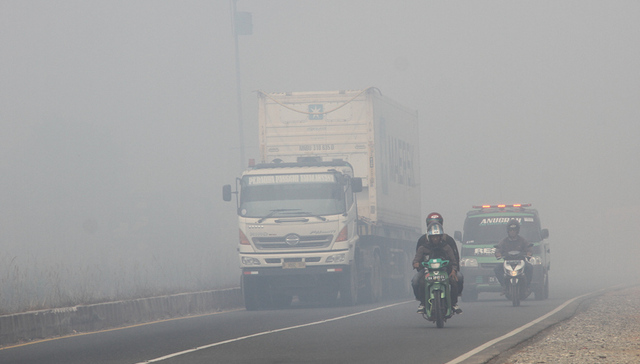 印尼,森林火灾,棕榈油