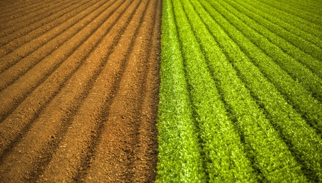 农村土地经营权流转管理办法拟修订：社会资本取得经营权应具有农业经营资质