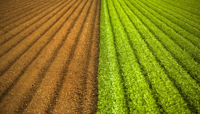 农村土地经营权流转管理办法拟修订：社会资本取得经营权应具有农业经营资质