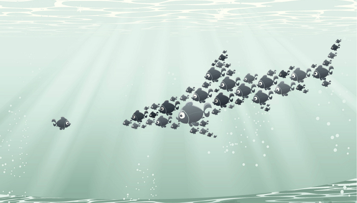 团队管理,IBM,迪士尼,