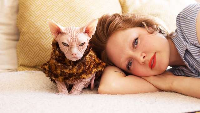 女人与猫：沙发留给前男友，猫留给我