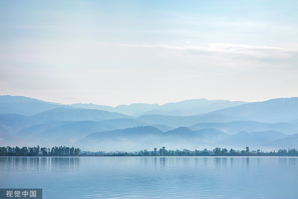 互联网保险，中国人寿，中国平安，众安保险