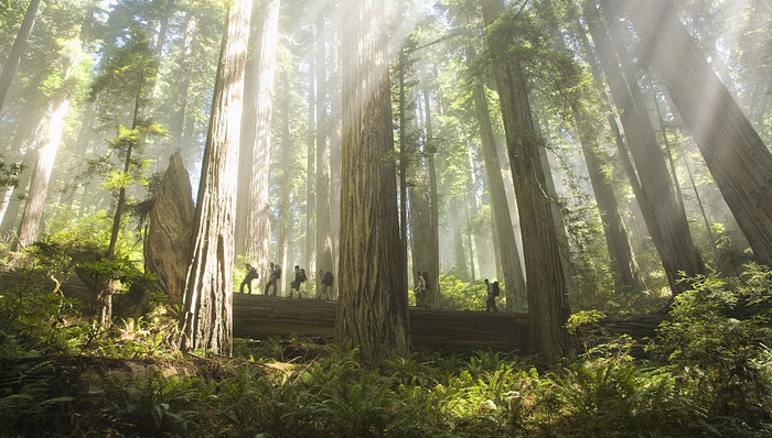 旅行,徒步,新书