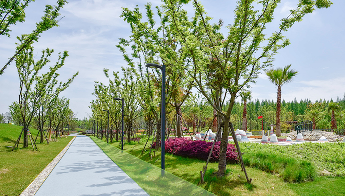 临港新片区，海绵公园，生态半岛