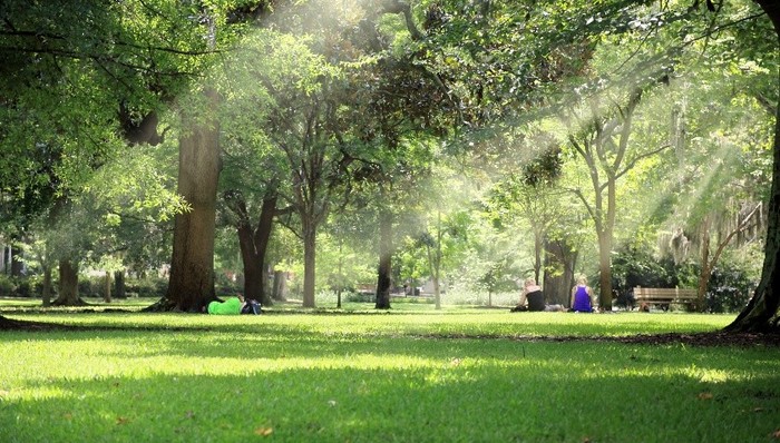 我国西北变“暖湿”？
