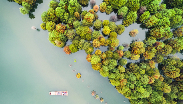 十一假期自驾游热，多个景区采取线上预约限流