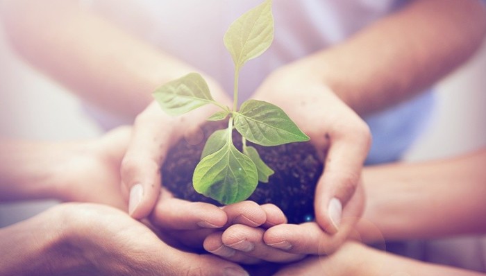 比尔·盖茨人民日报撰文：中国为解决全球发展不平等带来曙光