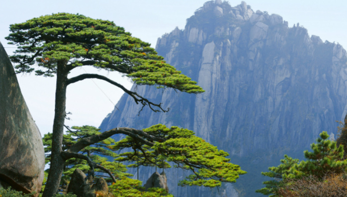 黄山景区：我们对西海大峡谷的安全有信心