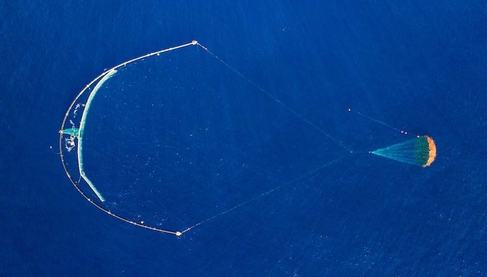 天下故事,环境保护,海洋污染