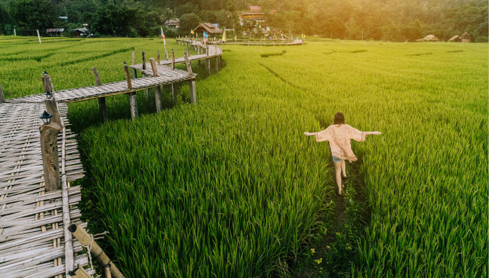 无痕出游，你做到了吗