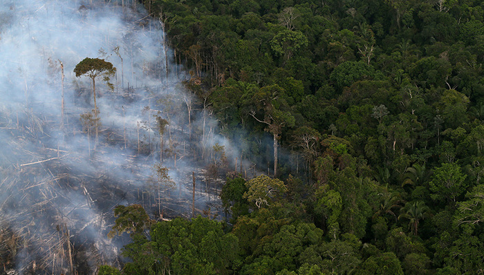 亚马孙火灾