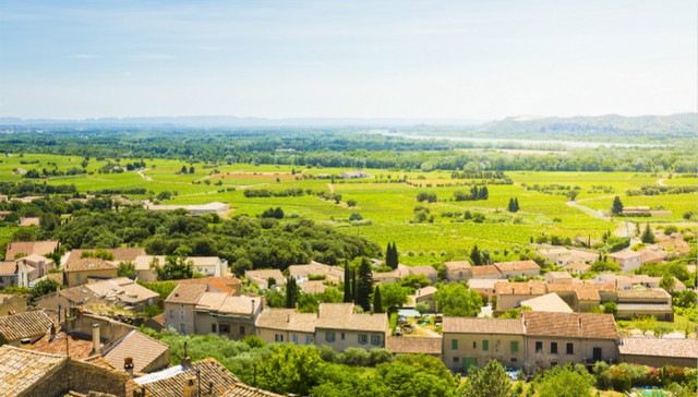 以新发展理念引领乡村振兴