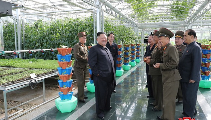 金正恩,栽培情况,部队,朝中社,农场,视察,蔬菜作物,农业科研,党中央委员会,朝鲜劳动党