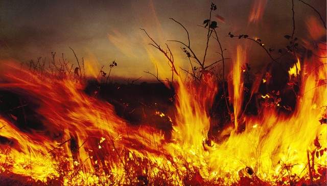 最高检发布26起公益诉讼典型案例：男子朋友圈侮辱凉山灭火烈士案被提起公益诉讼