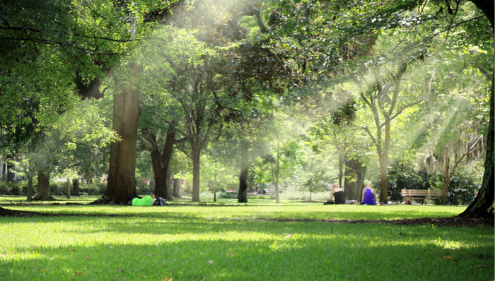 中国生态之美的点、线、面