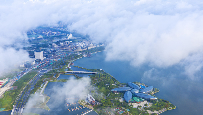 临港新片区，招商引资