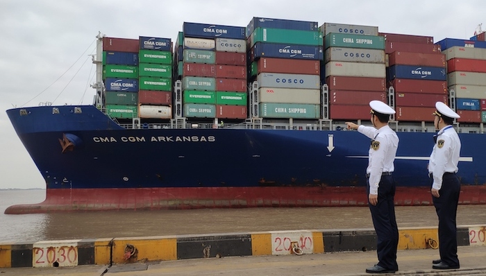 临港自贸区新片区，进博会，洋山港