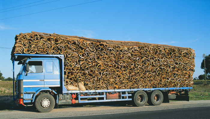 法制日报：超载久治不愈病灶在哪儿？